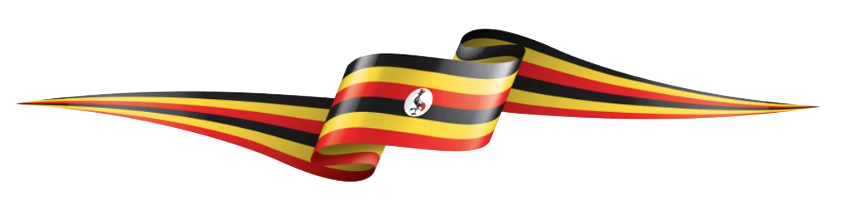 Background Flag
